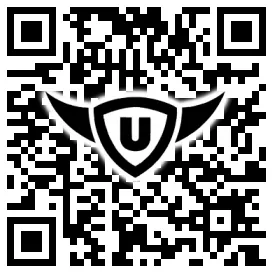 QR-Code Stonies