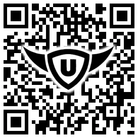 QR-Code Stonies