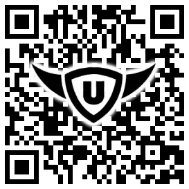 QR-Code Stonies