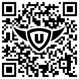 QR-Code Stonies