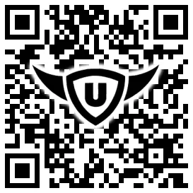 QR-Code Stonies