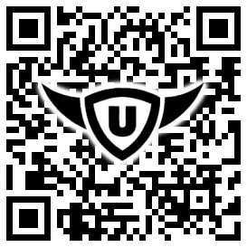 QR-Code Stonies