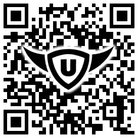 QR-Code Stonies