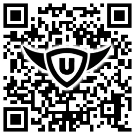 QR-Code Stonies