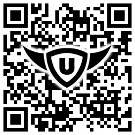QR-Code Stonies