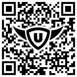 QR-Code Stonies