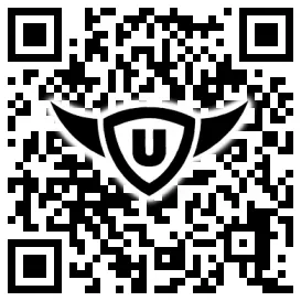QR-Code Stonies