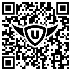 QR-Code Stonies