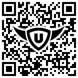 QR-Code Stonies