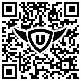 QR-Code Stonies