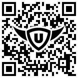 QR-Code Stonies