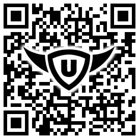 QR-Code Stonies