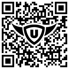 QR-Code Stonies