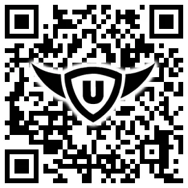 QR-Code Stonies