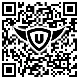 QR-Code Stonies