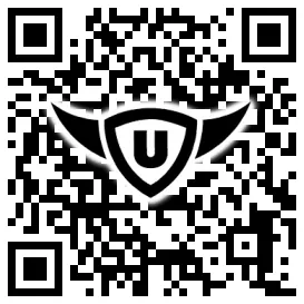 QR-Code Stonies