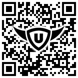 QR-Code Stonies