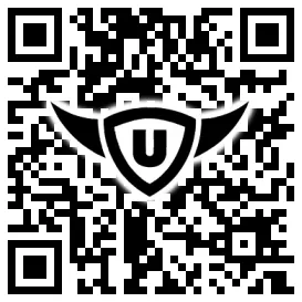 QR-Code Stonies
