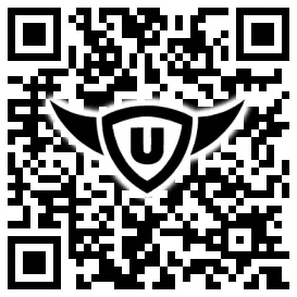 QR-Code Stonies