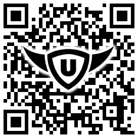 QR-Code Stonies
