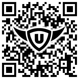 QR-Code Stonies