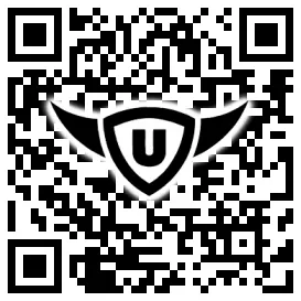 QR-Code Stonies