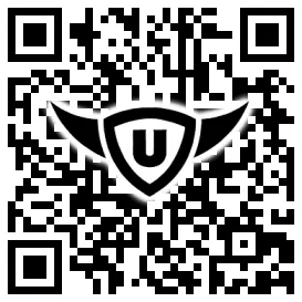 QR-Code Stonies
