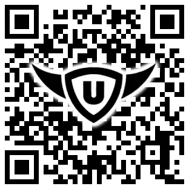 QR-Code Stonies