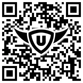 QR-Code Stonies