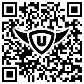 QR-Code Stonies