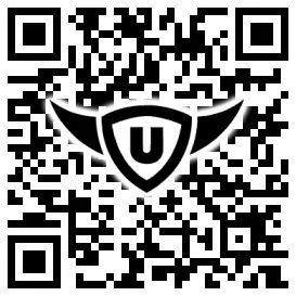 QR-Code Stonies