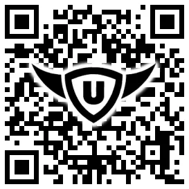 QR-Code Stonies