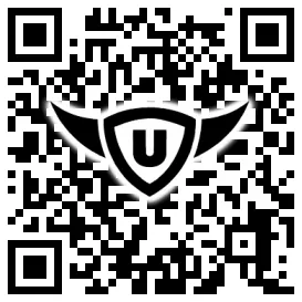 QR-Code Stonies