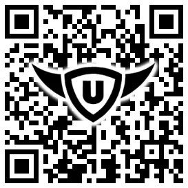 QR-Code Stonies
