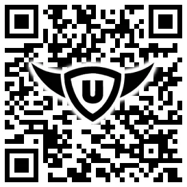 QR-Code Stonies