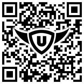 QR-Code Stonies