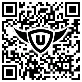 QR-Code Stonies
