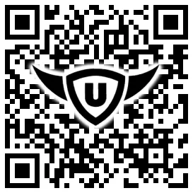 QR-Code Stonies