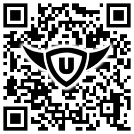 QR-Code Stonies