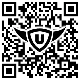 QR-Code Stonies