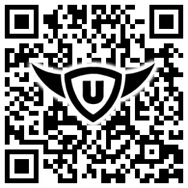 QR-Code Stonies