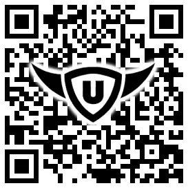 QR-Code Stonies
