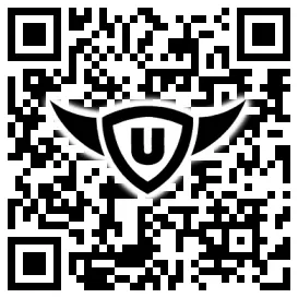 QR-Code Stonies