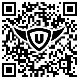 QR-Code Stonies