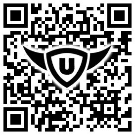 QR-Code Stonies
