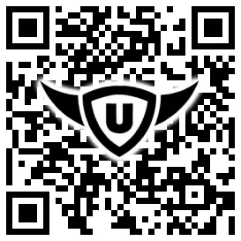 QR-Code Stonies