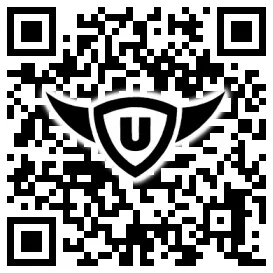 QR-Code Stonies
