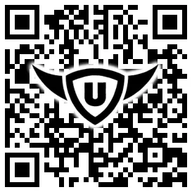 QR-Code Stonies