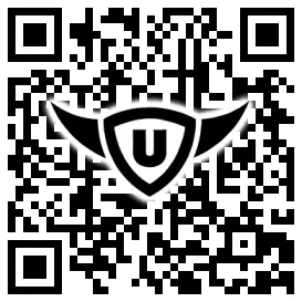QR-Code Stonies