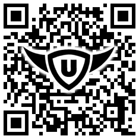 QR-Code Stonies